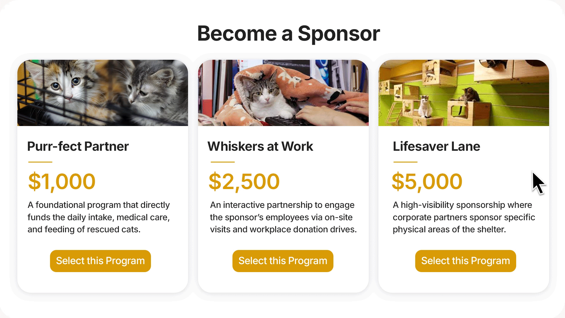 Double the Donation's corporate sponsorships plugin